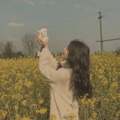 ng体育下载注册截图