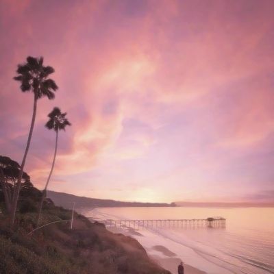 b体育手机在线登录